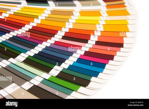Ral Color Samples