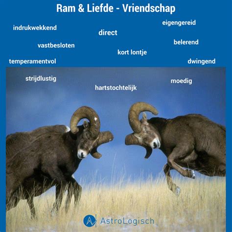 ram en tweeling vriendschap