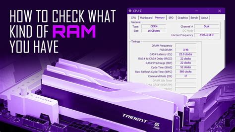 ram online check in