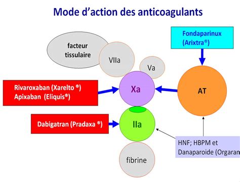 th?q=ramiclair+:+Mode+d'action+et+indications