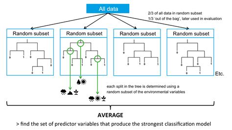 Random Forest Categorical Variables