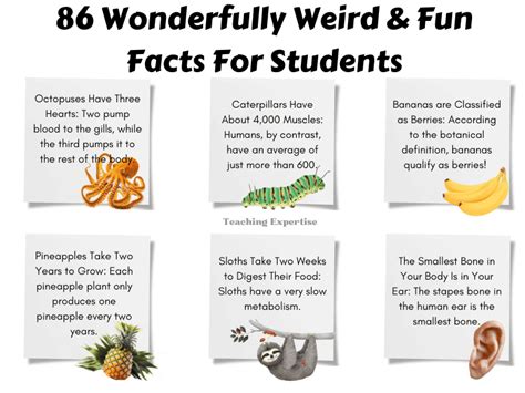 Random Weird Facts