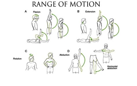 Range Of Motion Adalah