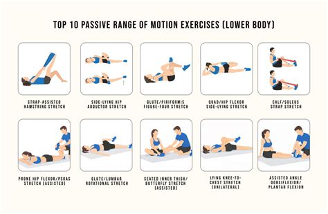 Range Of Motion Exercises