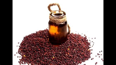 Rapeseed In Tamil