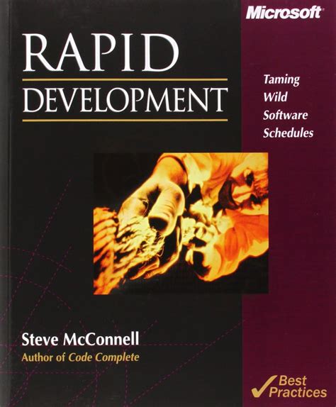 Rapid Development Developer Best Practices