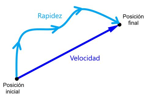 Rapidez