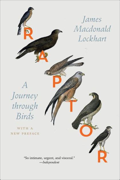 Read Online Raptor A Journey Through Birds 