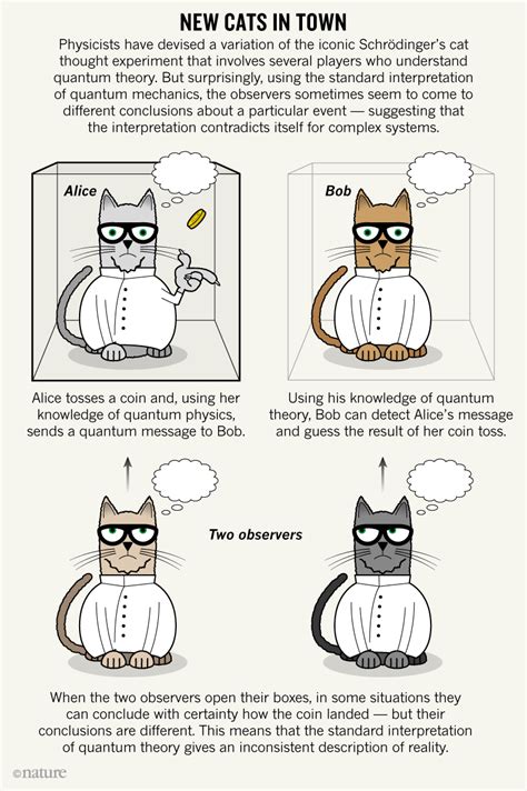 Raquo The Cat Experiment Confessions Of A Researchaholic Cat Science Experiments - Cat Science Experiments