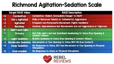 Rass Sedation Scale