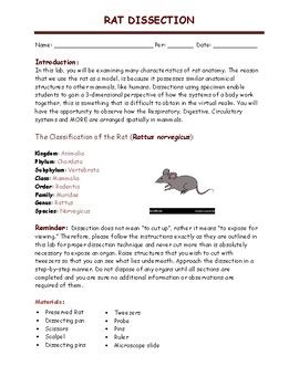 rat dissection student notes answers