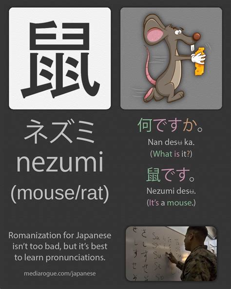 rat in Japanese? How to use rat in Japanese. Learn Japanese