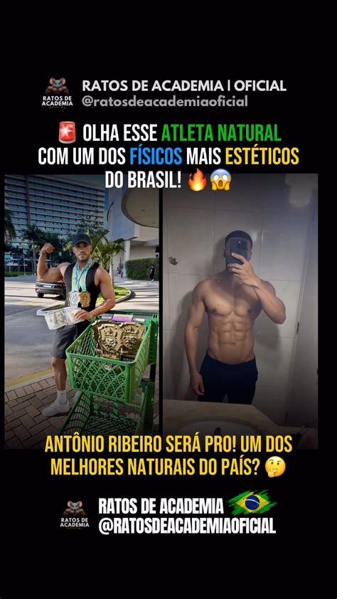 Ratos De Academia