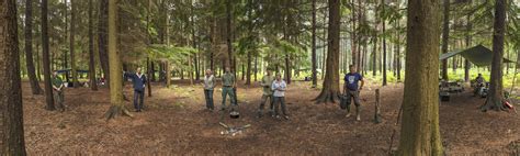 Ray Mears Bushcraft