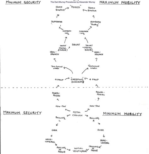 raymond dart procedures manual
