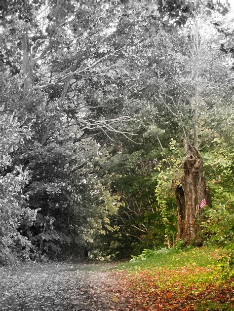 raymond inmon biography