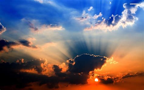 Rays Of Sunshine