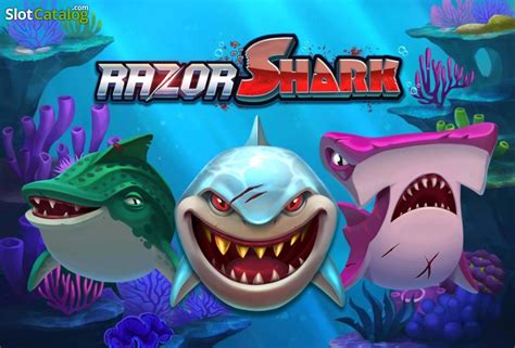 razor shark casino slot dllp belgium