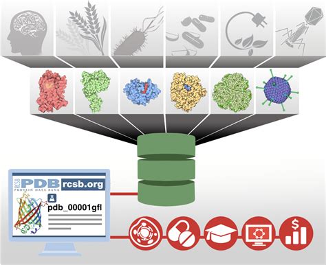 Rcsb Protein Database