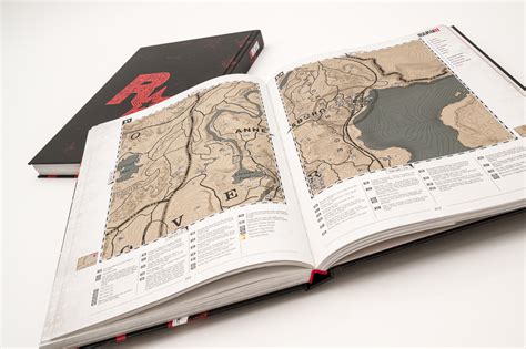rdr2 guide book