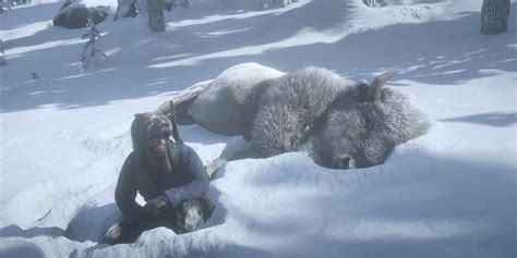 rdr2 kill or spare bison poacher - baghastore.com