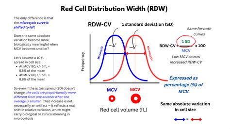Rdw Standard Deviation
