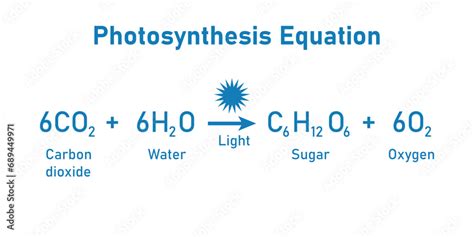 Reactants In Photosynthesis