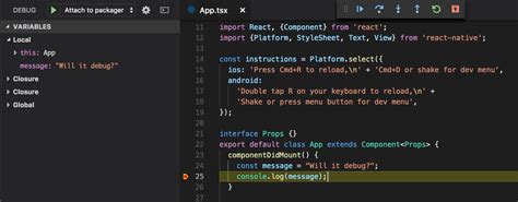reactnativeschool/reactnativetypescripttemplate npm package Snyk