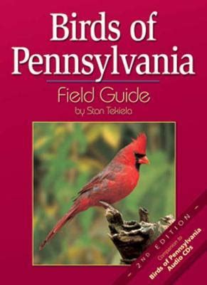 Read Download Birds Of Pennsylvania Field Guide Pdf Pennsylvania State Bird Coloring Page - Pennsylvania State Bird Coloring Page