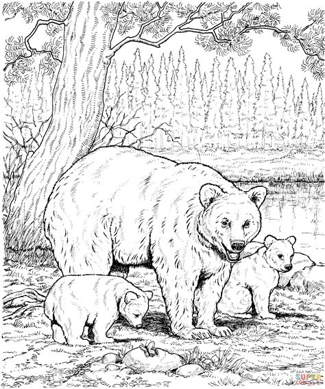 Read Download Forest Animals Coloring Book Pdf Pdf Coloring Pages Forest Scene - Coloring Pages Forest Scene