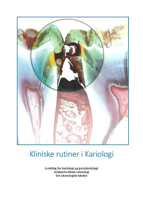 Download Read Protetikk Handbok 