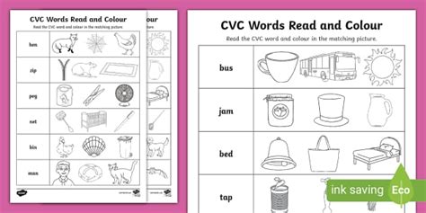 Download Read Visualquizchapter14 