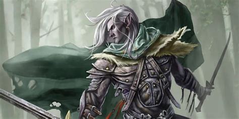 Read Online Reader S Guide To The Legend Of Drizzt 