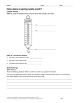 Reading A Spring Scale Worksheets Learny Kids Spring Scale Worksheet - Spring Scale Worksheet