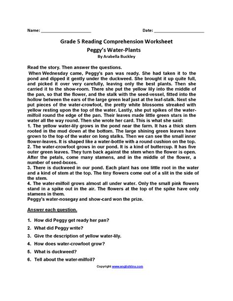 Reading Comprehension Mrs Hart X27 S 5th Grade 5th Grade Reading Packet - 5th Grade Reading Packet