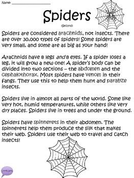 Reading Comprehension Spiders Worksheets Spider Math Worksheet - Spider Math Worksheet