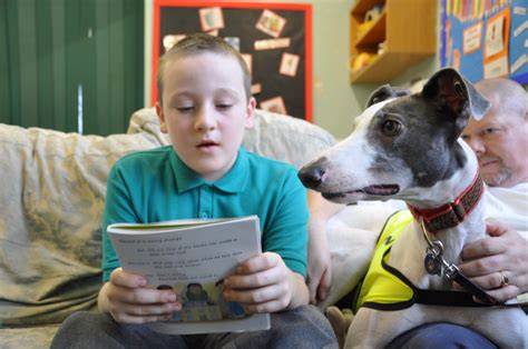 Reading Is Fun With Bark Read To A Prep Dog Reading 5th Grade - Prep Dog Reading 5th Grade