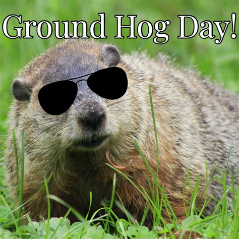 Ready For Ground Hog Day 8211 Learning Networks Ground Hog Day Pictures To Color - Ground Hog Day Pictures To Color