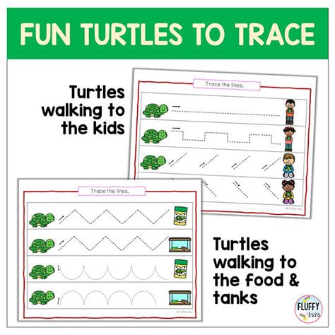 Ready To Use Turtle Tracing Pages For Preschool Turtle Patterns To Trace - Turtle Patterns To Trace