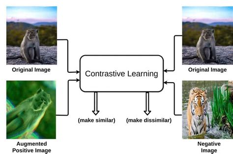 Real Time Clip Contrastive Learning
