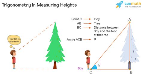Real World Examples Using Cosine