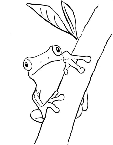 Realistic Frog Coloring Pages Nature Inspired Learning Red Eye Tree Frog Coloring Page - Red Eye Tree Frog Coloring Page