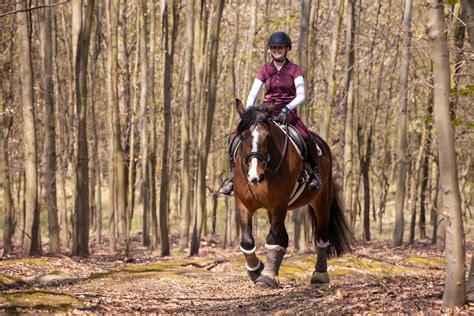 realistisch inschatten