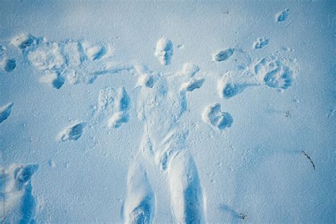 realsnow nude