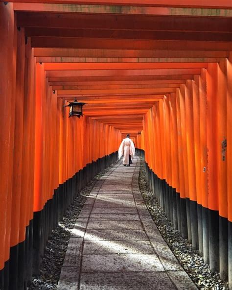 rearview inari