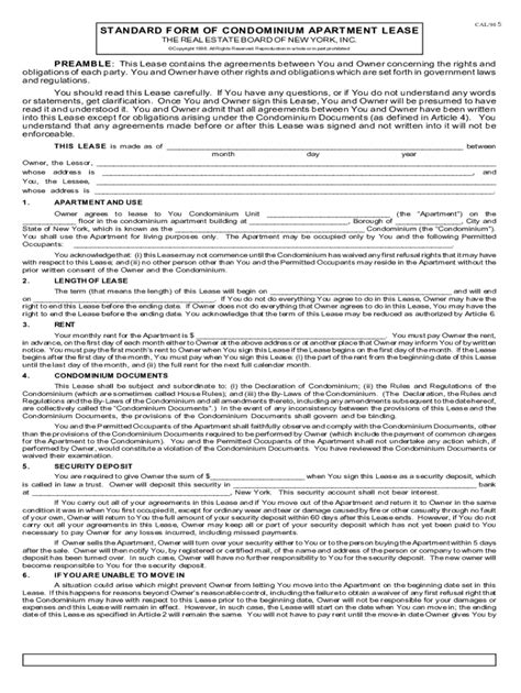 rebny standard lease