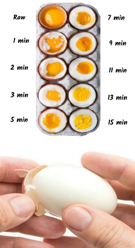 rebus telur berapa menit