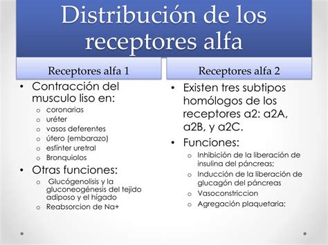Beta Adrenergic Receptor Types Function Location and Stimulation Effects Made Easy — EZmed