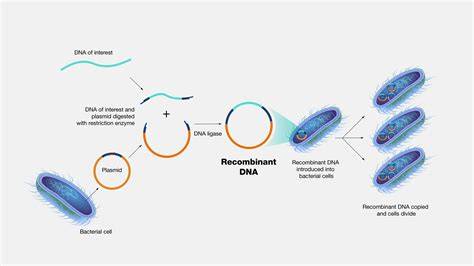 recombinant dna technology kau