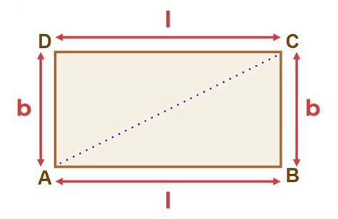 rectangle | How to Draw a Rectangle WPF Microsoft
